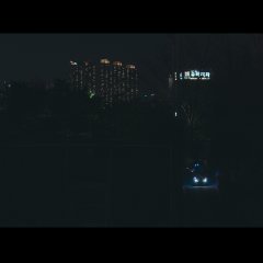 Corydoras Korean Movie photo