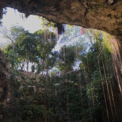 Cenote Japanese Movie photo
