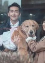 Animal Whisper Taiwanese Drama photo