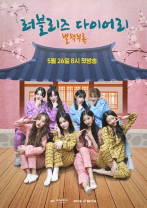 Lovelyz Diary Separate Appendix (2020) poster