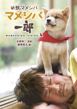 Mameshiba Cubbish Puppy 2 (2011) poster