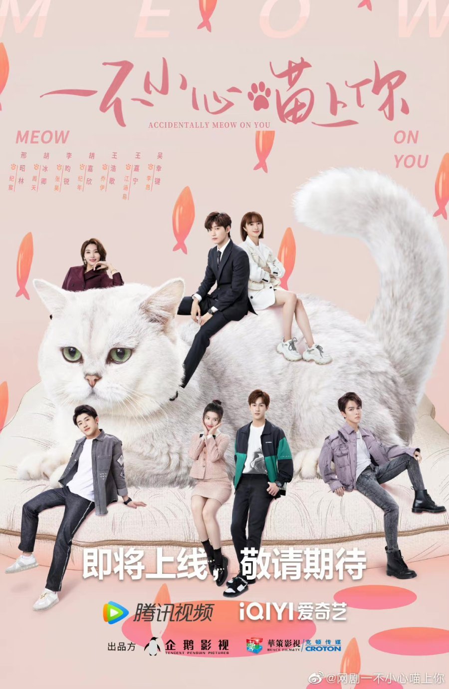image poster from imdb, mydramalist - ​Accidentally Meow on You (2022)