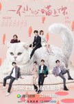 Accidentally Meow on You chinese drama review