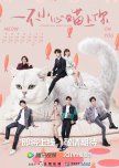 2023 Chinese Dramas (Modern)