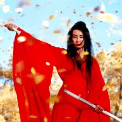 Hero Chinese Movie photo