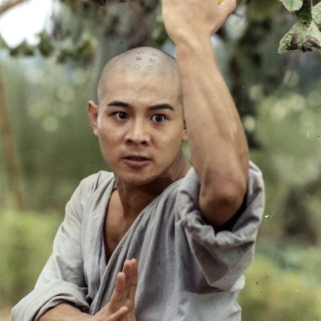 Shaolin Temple 3: Martial Arts of Shaolin (1986)