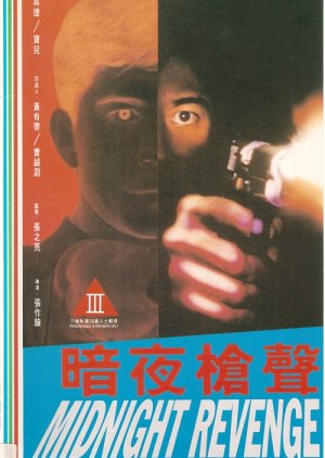 Midnight Revenge (1994) poster