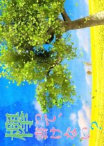 Keyakitte, Kakenai? Japanese TV Program photo