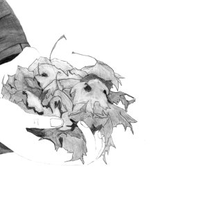 Kamisama no Boto  (2013)