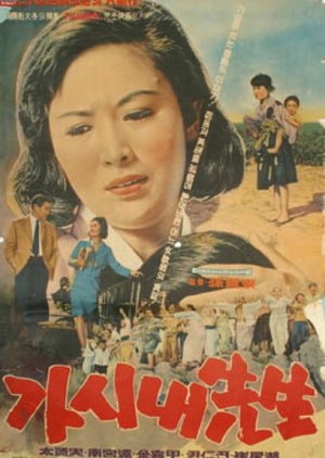 Lady Teacher (1966) poster