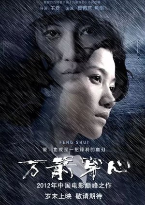Feng Shui (2012) poster