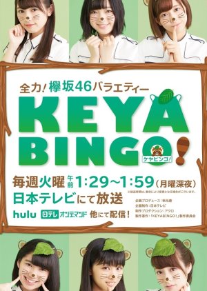 KeyaBingo!: Season 1 (2016) poster