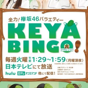 KeyaBingo!: Season 1 (2016)