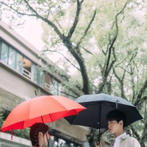 Kamisama no Boto  (2013)