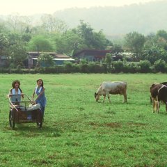 The Cheese Sisters Thai Movie photo