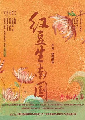 Hong Dou Sheng Nan Guo () poster