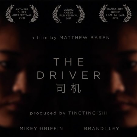 The Driver (2017)