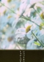 Sky, Wind, Fire, Water, Earth Japanese Movie photo