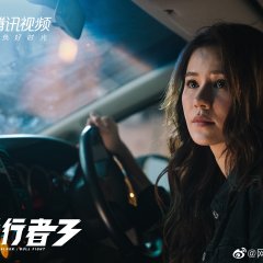 Line Walker: Bull Fight Hong Kong Drama photo