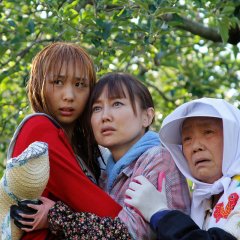 A Girl in the Apple Farm Japanese Movie photo