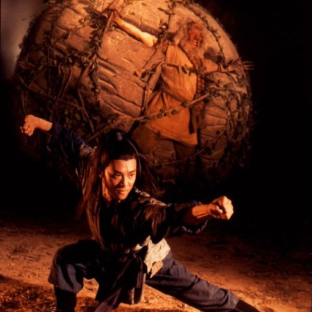 Kungfu Cult Master (1993)
