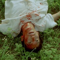 PiCNiC Japanese Movie photo