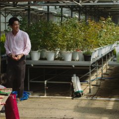 Sticky Night Korean Movie photo