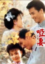 Mute Wife Taiwanese Drama photo