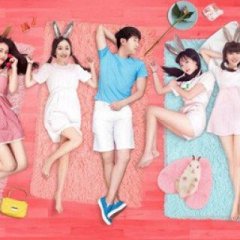 Sweety Bunny Girls of Petman Chinese Movie photo