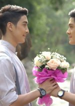 Views of Love: Grey Rainbow Thai Drama photo