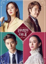 Ms perfect korean outlet drama full episodes