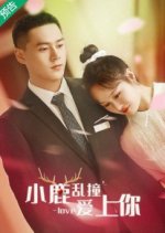 Xiao Lu Luan Zhuang Ai Shang Ni Chinese Movie photo