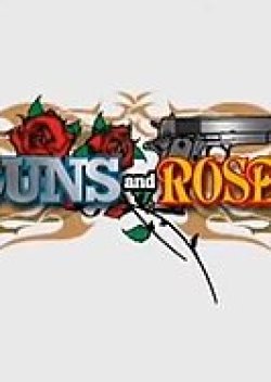 Guns and Roses (2011) poster