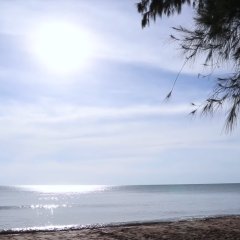 Evening Café Thai Drama photo