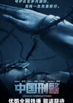 Chinese Criminal Police Chinese Drama photo