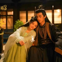 Lu Zhaozhao's Assassination Notes Chinese Drama photo