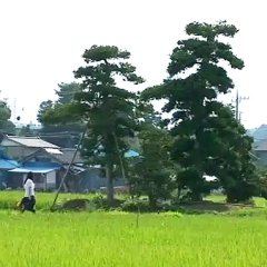 10 Years Love Japanese Movie photo