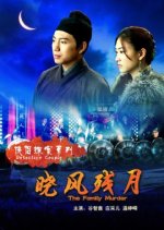 Detective Couple: The Family Murder Chinese Movie(2007) photo