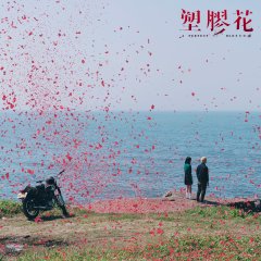 A Perfect Blossom Taiwanese Drama photo