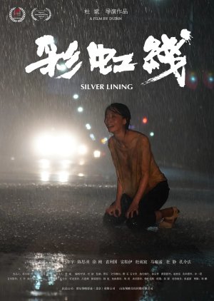 Silver Lining (2024) poster