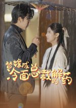 Ti Jia Cheng Leng Mian Zong Cai De Jie Yao Chinese Drama photo