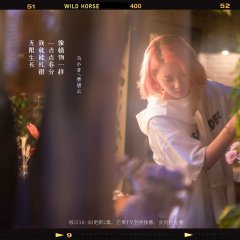 Desire Zoo Chinese Drama photo