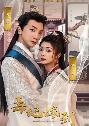 Princess Concubine Married (2023) poster