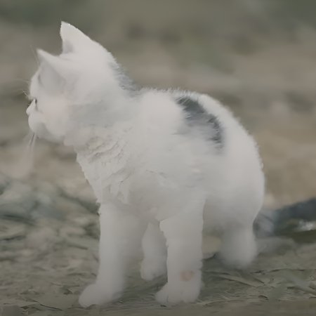 The Tale of the Cat Spirit (2021)