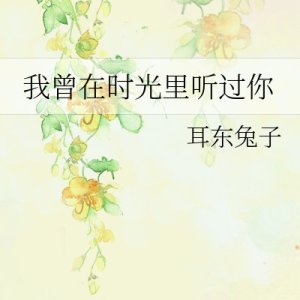 Wo Ceng Zai Shi Guang Li Ting Guo Ni ()