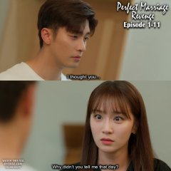 Perfect Marriage Revenge (2023) photo