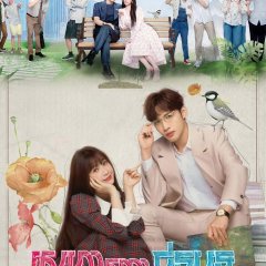 A Romance of the Little Forest Chinese Drama photo