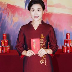 Zhong Nian Shan Hun Zong Cai Hen Hen Ai Chinese Drama photo