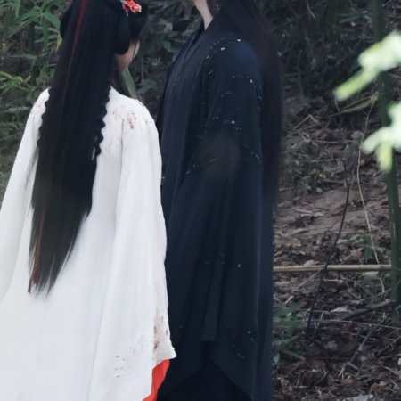 Blossom in Darkness ()