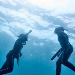 Blood of the Blue Taiwanese Movie photo